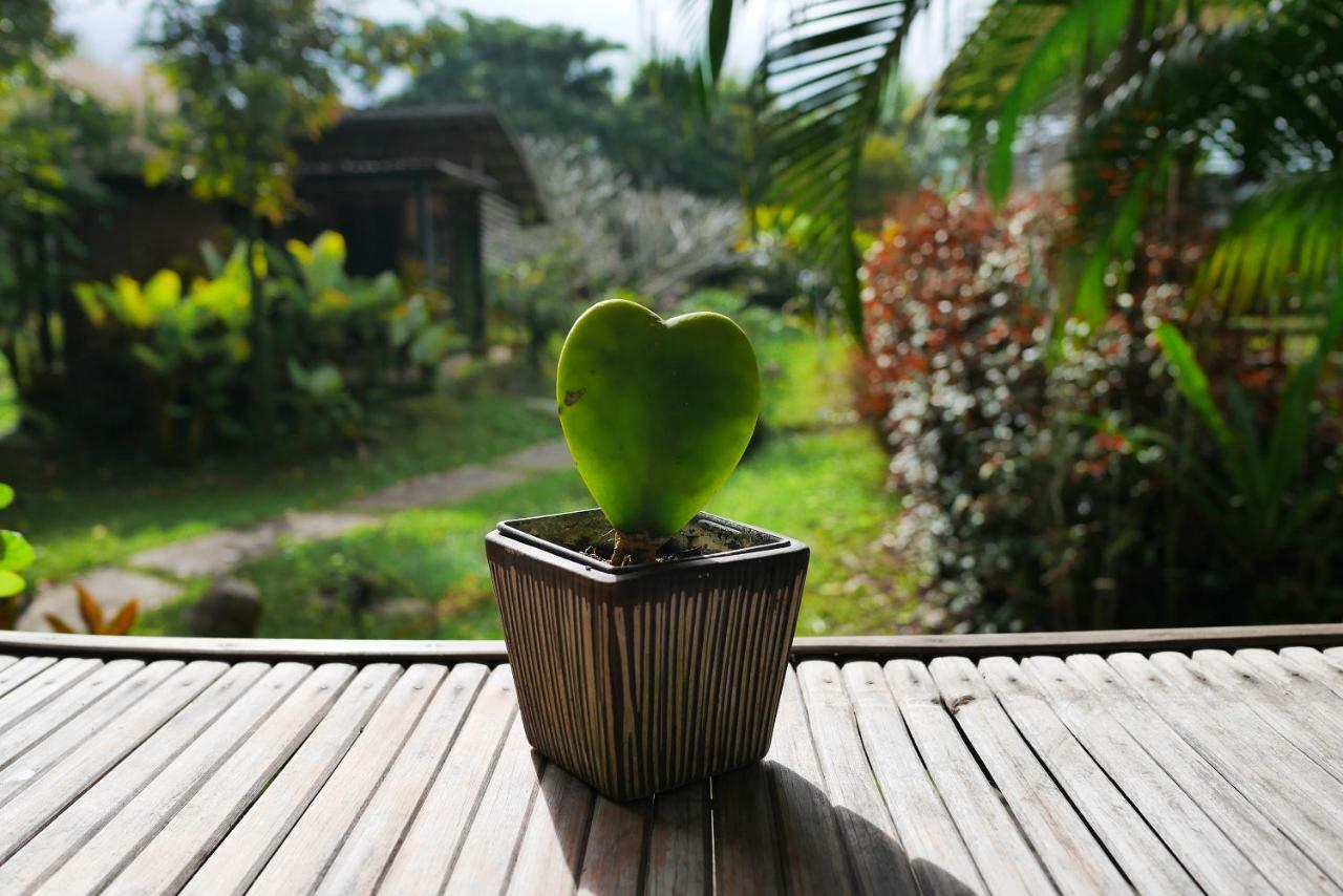 Love Pai Home Luaran gambar